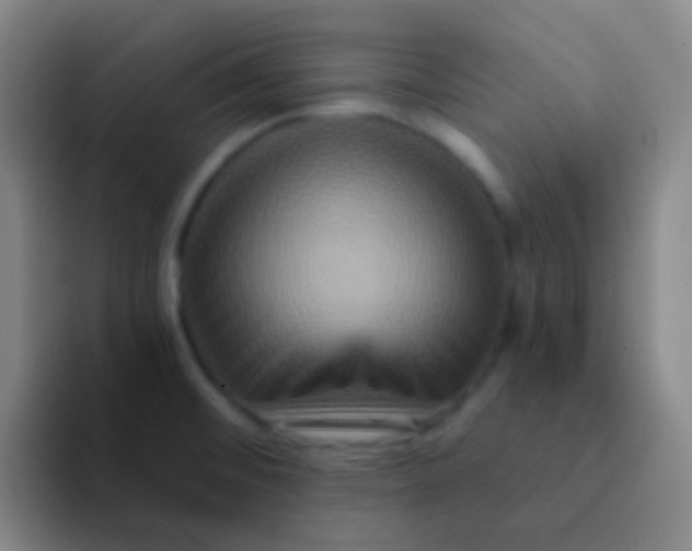 X0000091931476200709261905