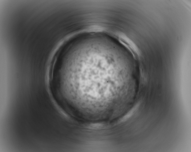 X0000091931477200709261905