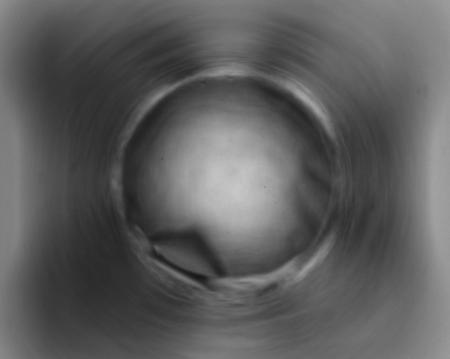 X0000091931481200709261905