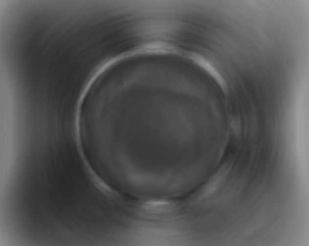 X0000091931482200709261905