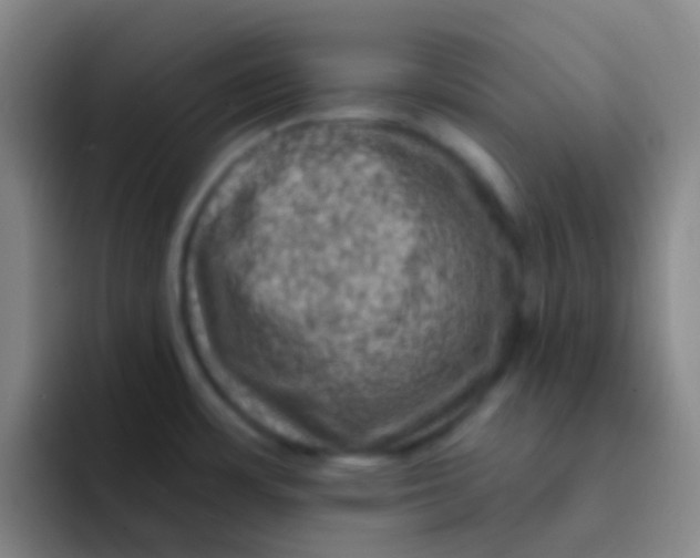 X0000091931483200709261905