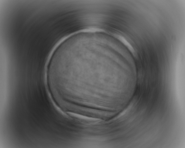 X0000091931484200709261905