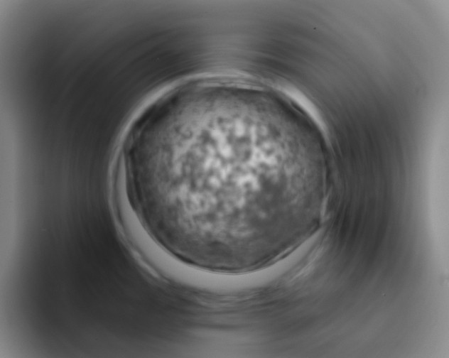 X0000091931485200709261905