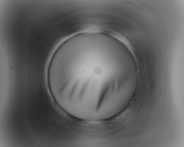 X0000091931488200709261905
