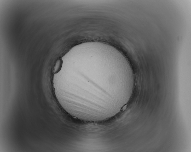 X0000091931489200709261904