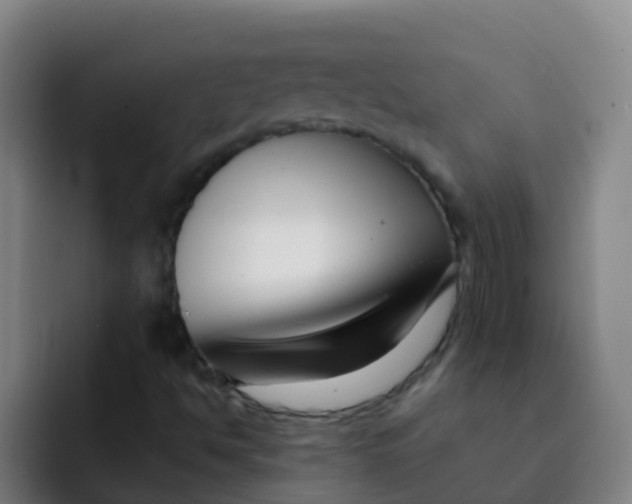 X0000091931494200709261904