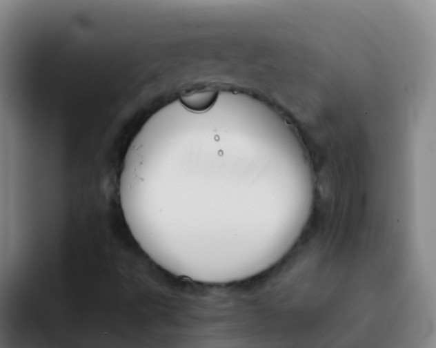 X0000091931495200709261904