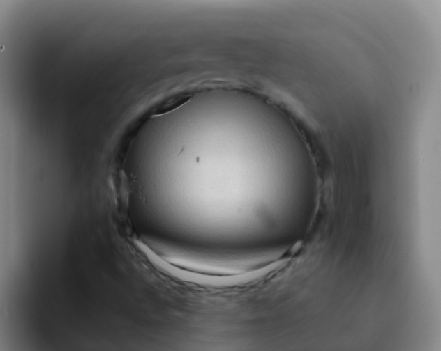 X0000091931496200709261904