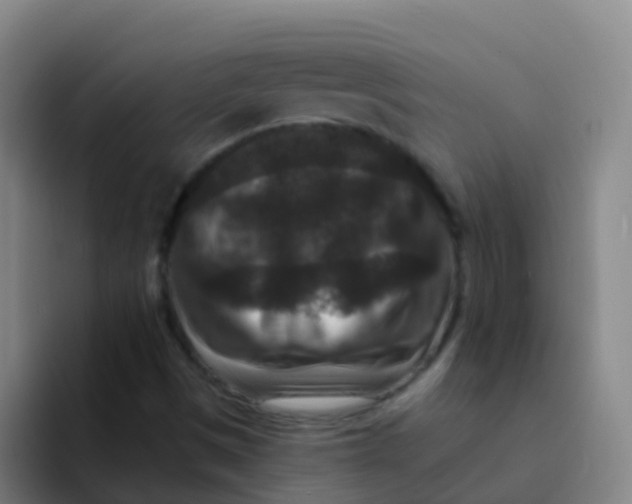 X0000091931497200709261904