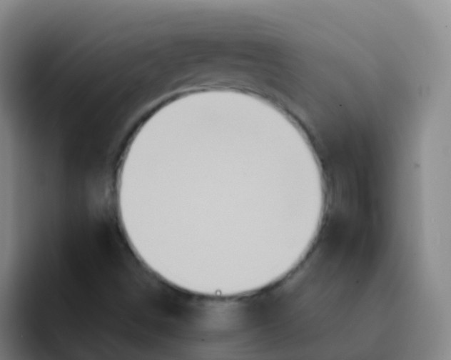 X0000091931498200709261904