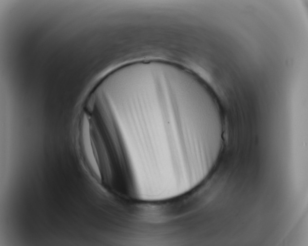 X0000091931500200709261904
