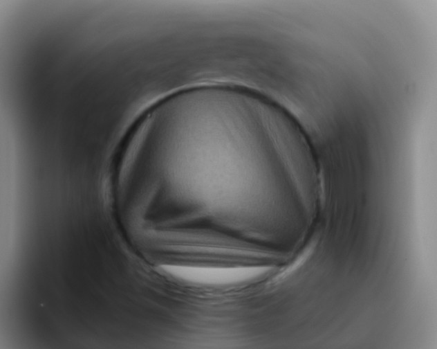 X0000091931501200709261904