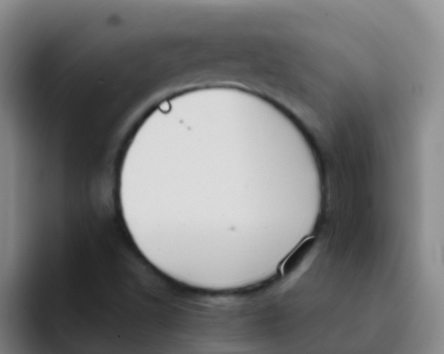 X0000091931502200709261904
