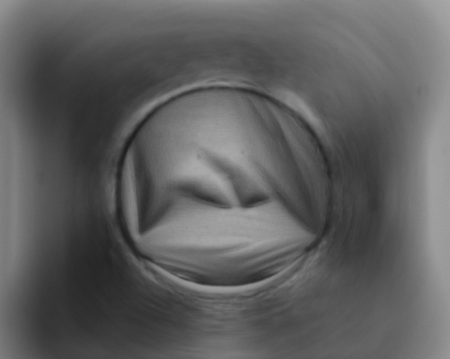X0000091931504200709261904