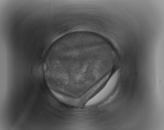 X0000091931505200709261904