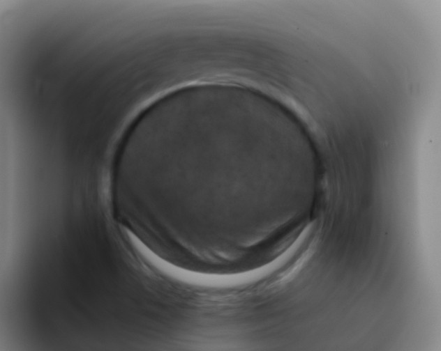 X0000091931506200709261904