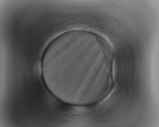 X0000091931509200709261904
