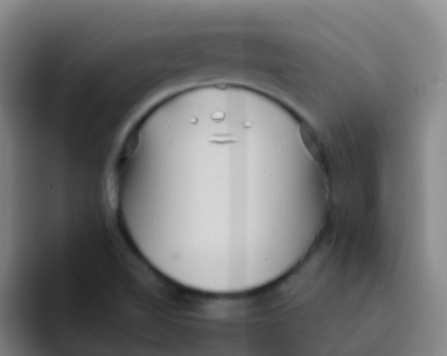 X0000091931510200709261904