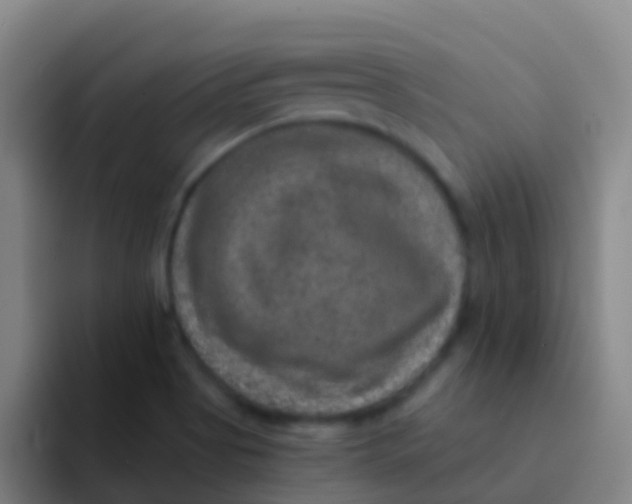 X0000091931513200709261904
