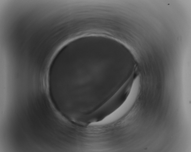 X0000091931515200709261904