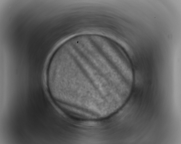 X0000091931517200709261904