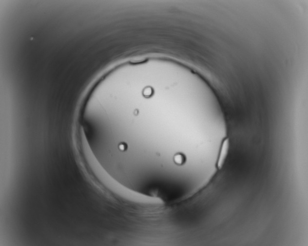 X0000091931518200709261904