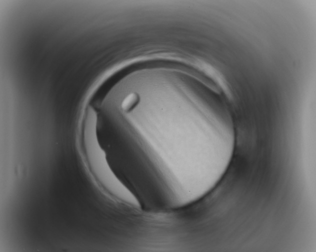 X0000091931520200709261904
