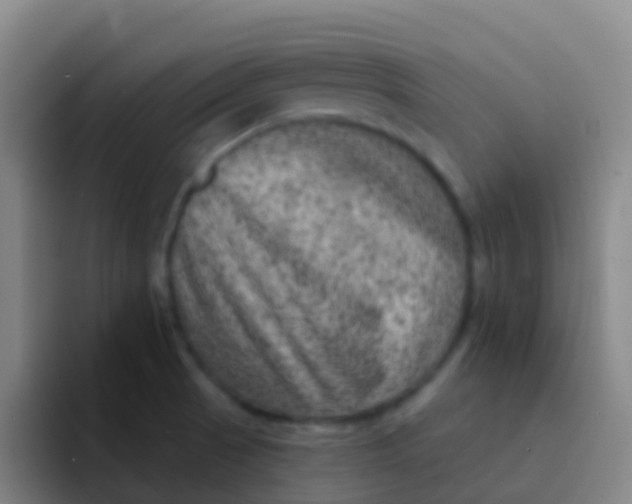 X0000091931521200709261904