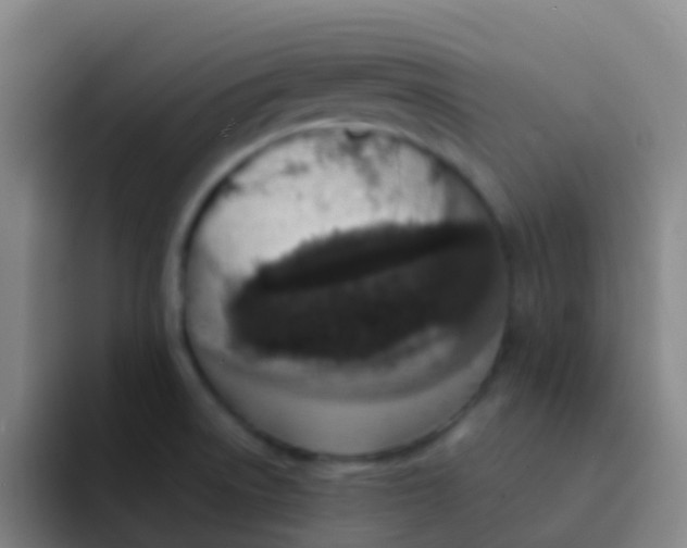 X0000091931522200709261904