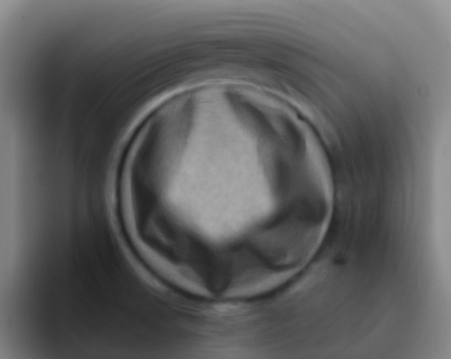 X0000091931523200709261905