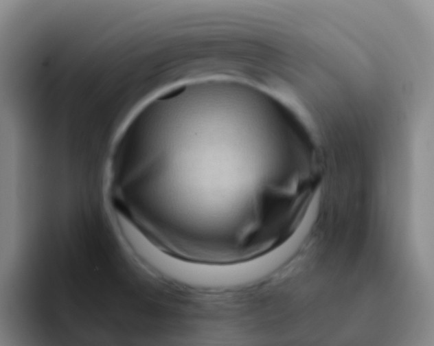 X0000091931524200709261905