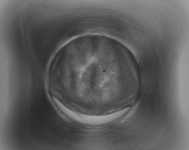 X0000091931525200709261905