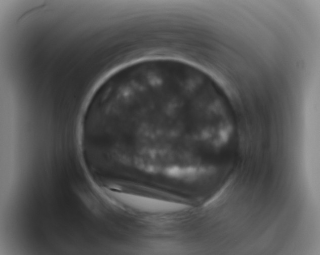 X0000091931527200709261905