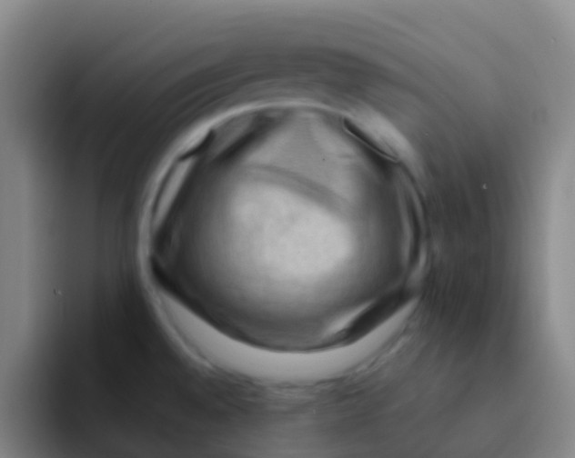X0000091931528200709261905