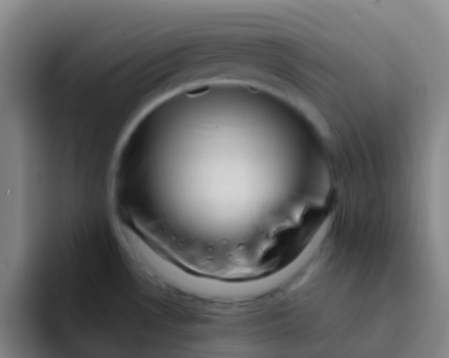 X0000091931530200709261905