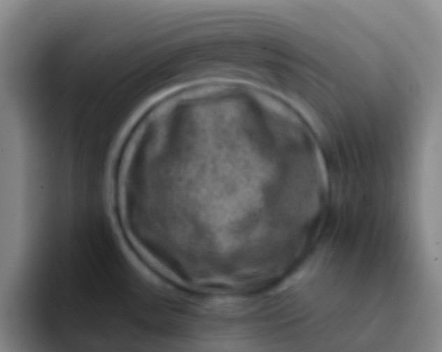 X0000091931531200709261905