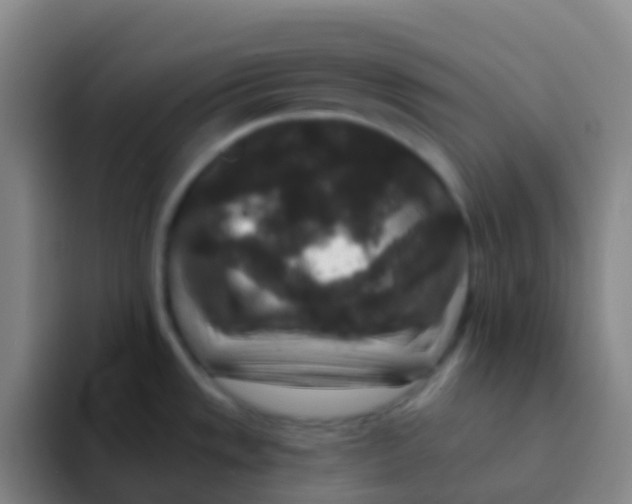 X0000091931533200709261905