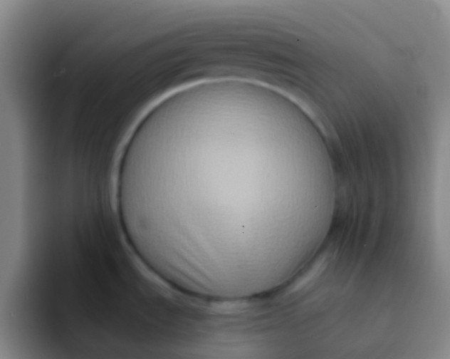 X0000091931535200709261905