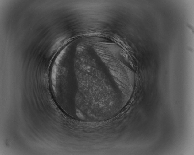 X0000091930002200710031107