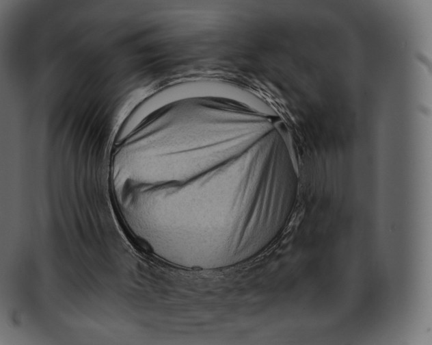 X0000091930003200710031107