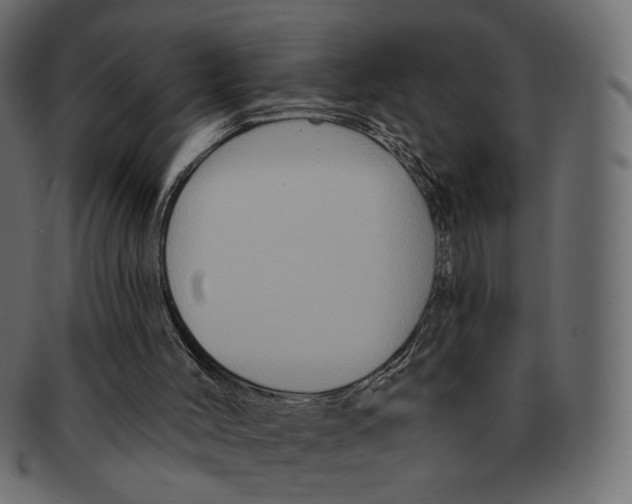 X0000091930004200710031107