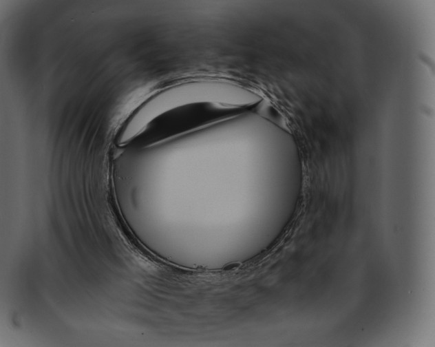 X0000091930005200710031107