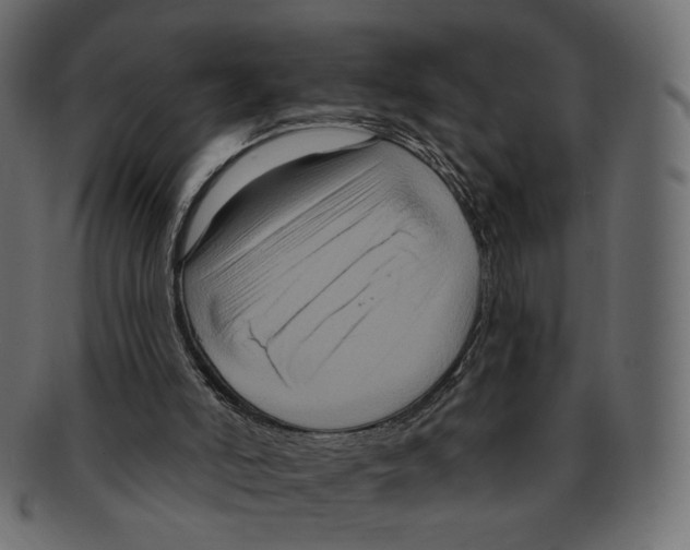 X0000091930006200710031107