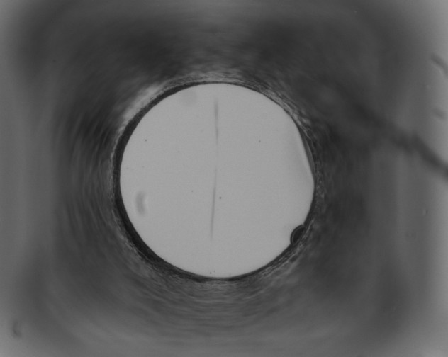 X0000091930008200710031107