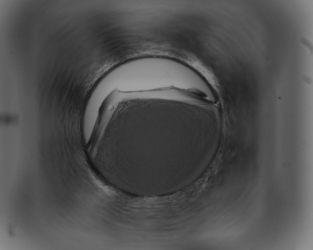 X0000091930009200710031107