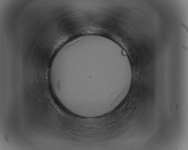 X0000091930010200710031107