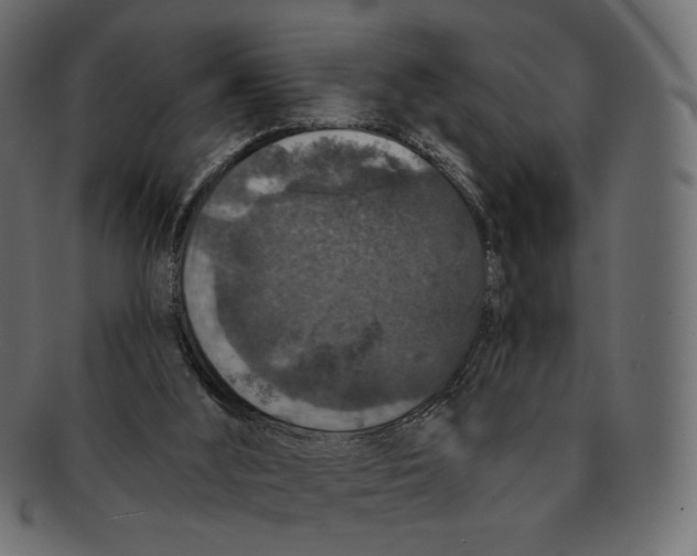 X0000091930012200710031107