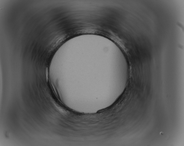 X0000091930013200710031107