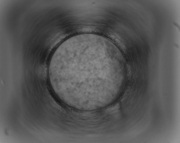 X0000091930016200710031107