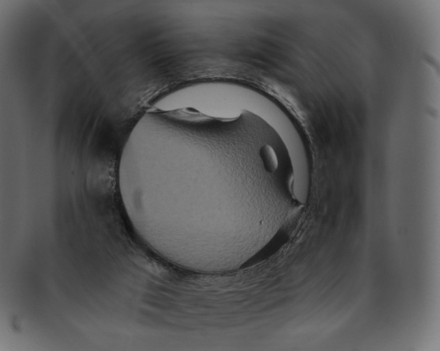 X0000091930017200710031107